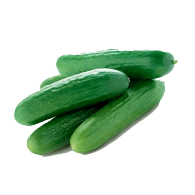 Cucumber
